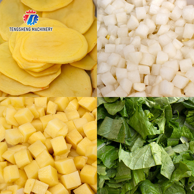 Tengsheng Transmission Regulates Fruit Processing Machine Soybean Dicing