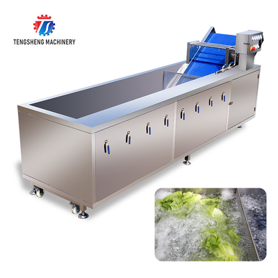 3KW Circumvolving Fruit And Vegetable Cleaning Machine , Sedimentation Tank Apple Cleaning Machine