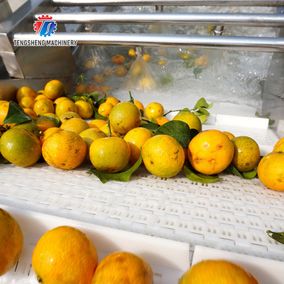 3KW Circumvolving Fruit And Vegetable Cleaning Machine , Sedimentation Tank Apple Cleaning Machine