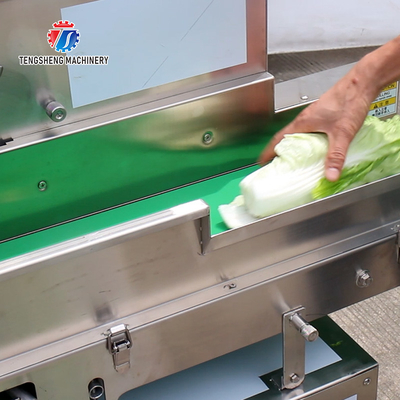 180KG Multifunctional vegetable cutting machine commercial leaf vegetable root slicing and sectioning machine
