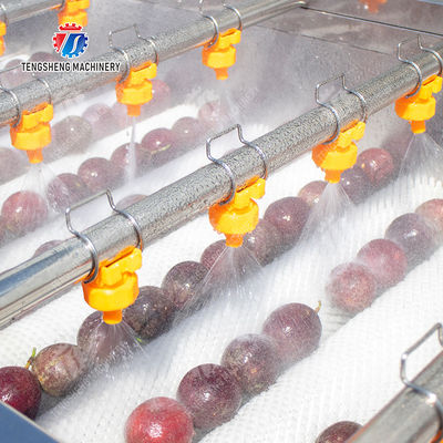 Revolutionize Your Production Process with Our Fruit And Vegetable Processing Line
