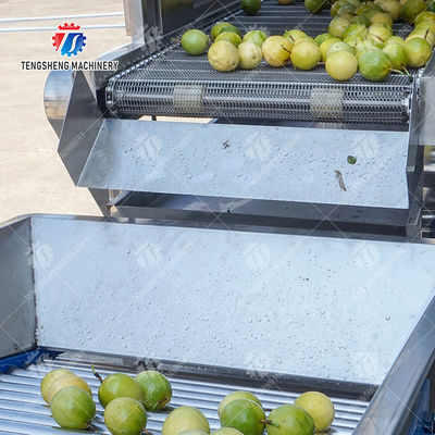 380V Fruit And Vegetable Processing Line Fully Automatic Cleaning Drying Grading