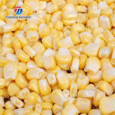 customized blanching machine Fruit Orange Vegetable Leaves Vegetables Carrots and longitudinal root vegetables Onions Leafy vegetables Cabbage varieties Herbs Fruiting vegetables Wash Washer Cleaning