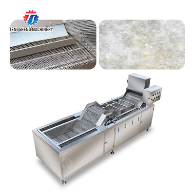 customized blanching machine Fruit Orange Vegetable Leaves Vegetables Carrots and longitudinal root vegetables Onions Leafy vegetables Cabbage varieties Herbs Fruiting vegetables Wash Washer Cleaning