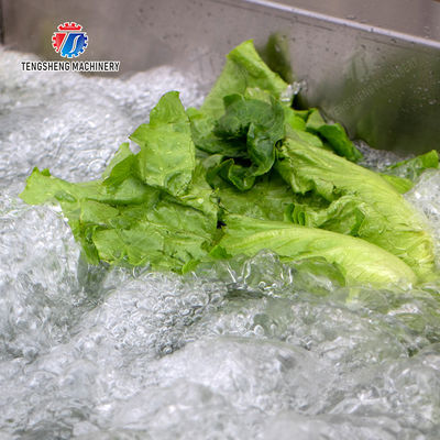 Vegetables bubblewashing machine Leaves Vegetables Onions Leafy vegetables Cabbage varieties Herbs Fruiting vegetables Wash Washer Washing Cleaning processing production