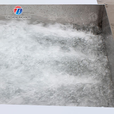 Vegetables bubblewashing machine Leaves Vegetables Onions Leafy vegetables Cabbage varieties Herbs Fruiting vegetables Wash Washer Washing Cleaning processing production