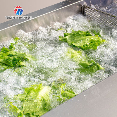 Vegetables bubblewashing machine Leaves Vegetables Onions Leafy vegetables Cabbage varieties Herbs Fruiting vegetables Wash Washer Washing Cleaning processing production