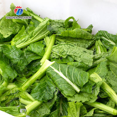 Vegetables bubblewashing machine Leaves Vegetables Onions Leafy vegetables Cabbage varieties Herbs Fruiting vegetables Wash Washer Washing Cleaning processing production