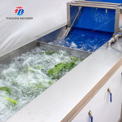 Vegetables bubblewashing machine Leaves Vegetables Onions Leafy vegetables Cabbage varieties Herbs Fruiting vegetables Wash Washer Washing Cleaning processing production