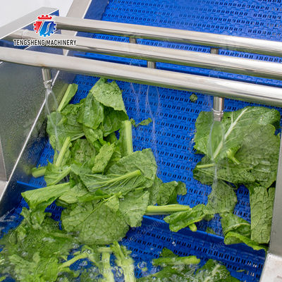 Vegetables bubblewashing machine Leaves Vegetables Onions Leafy vegetables Cabbage varieties Herbs Fruiting vegetables Wash Washer Washing Cleaning processing production