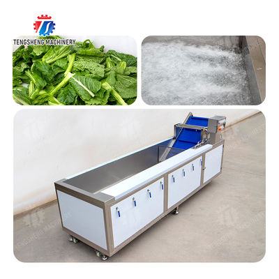 Vegetables bubblewashing machine Leaves Vegetables Onions Leafy vegetables Cabbage varieties Herbs Fruiting vegetables Wash Washer Washing Cleaning processing production