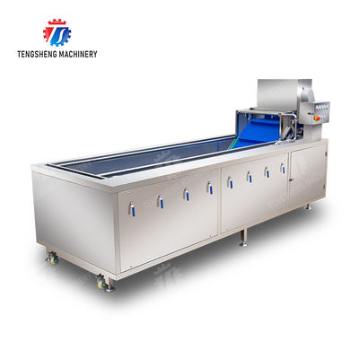 Leaves Leafy vegetables Cabbage varieties Herbs Fruiting vegetables Vegetables bubblewashing machine Wash Washer Washing Cleaning The dish washing machine