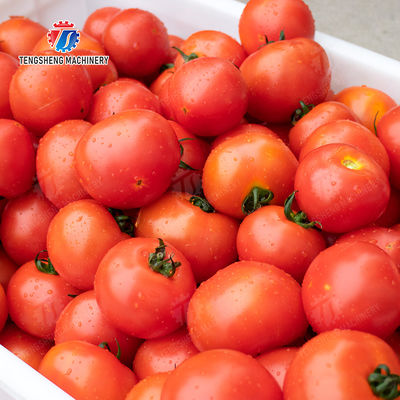 Leaves Leafy vegetables Cabbage varieties Herbs Fruiting vegetables Vegetables bubblewashing machine Wash Washer Washing Cleaning The dish washing machine