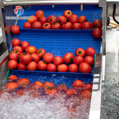 Leaves Leafy vegetables Cabbage varieties Herbs Fruiting vegetables Vegetables bubblewashing machine Wash Washer Washing Cleaning The dish washing machine