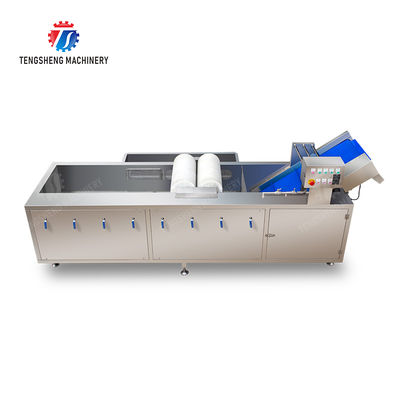 Wash Washer Washing Cleaning Brush bubble cleaning machine Carrots and longitudinal root vegetables Onions Leafy vegetables Cabbage varieties Herbs Fruiting vegetables