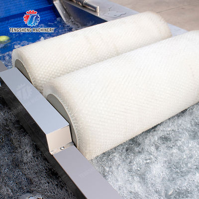 Wash Washer Washing Cleaning Brush bubble cleaning machine Carrots and longitudinal root vegetables Onions Leafy vegetables Cabbage varieties Herbs Fruiting vegetables