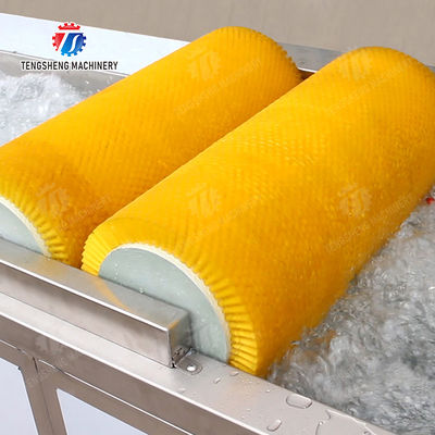 Wash Washer Washing Cleaning Brush bubble cleaning machine Carrots and longitudinal root vegetables Onions Leafy vegetables Cabbage varieties Herbs Fruiting vegetables