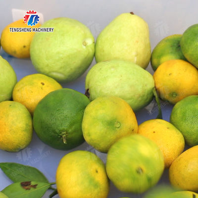 Wash Washer Washing Cleaning Brush bubble cleaning machine Carrots and longitudinal root vegetables Onions Leafy vegetables Cabbage varieties Herbs Fruiting vegetables