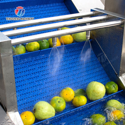 Wash Washer Washing Cleaning Fruit Orange Leaves Vegetables sward beans  soybeans  green beans  chickpeas beans  red beans  mung beans  Vegetables bubble washing processing production machine