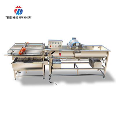 Vegetable Leaves Vegetables Leafy vegetables Cabbage varieties Herbs Fruiting vegetables Vortex washer Cleaning processing production Machine