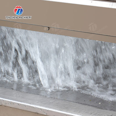 Vegetable Leaves Vegetables Leafy vegetables Cabbage varieties Herbs Fruiting vegetables Vortex washer Cleaning processing production Machine