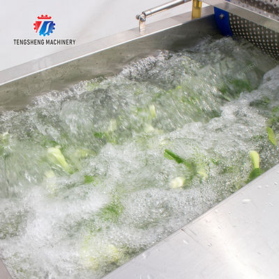 Vegetable Leaves Vegetables Leafy vegetables Cabbage varieties Herbs Fruiting vegetables Vortex washer Cleaning processing production Machine