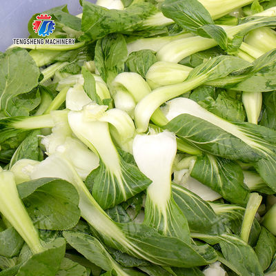 Vegetable Leaves Vegetables Leafy vegetables Cabbage varieties Herbs Fruiting vegetables Vortex washer Cleaning processing production Machine