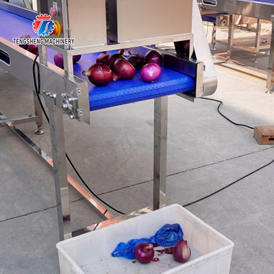 Conveyor Production Line Simplified Orange Potato  Onions Ginger Potato Carrot Taro Sweet potato Yam Saiko persimmon papaya horseshoe processing production Grading Transporting Machine