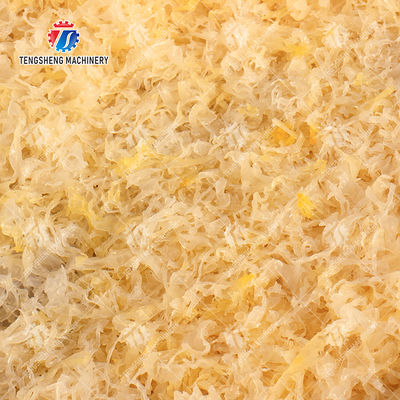 Vegetable cutter conveyor belt can be removed Potatoes and round tuber crops Carrots and longitudinal root vegetables Leafy vegetables Cabbage varieties Greens Lettuce Cao Xin Baby Cabbage Cutting