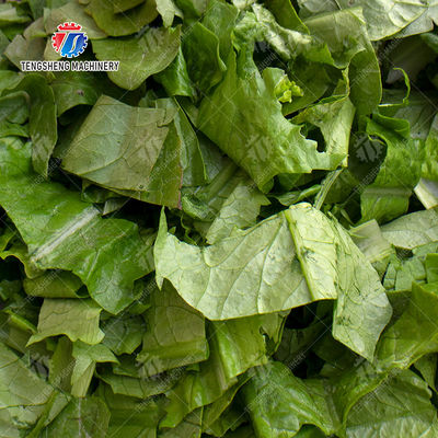 Vegetable cutter conveyor belt can be removed Potatoes and round tuber crops Carrots and longitudinal root vegetables Leafy vegetables Cabbage varieties Greens Lettuce Cao Xin Baby Cabbage Cutting