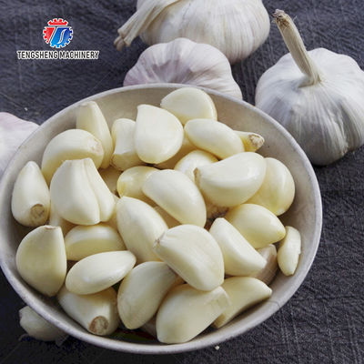 Garlic processing production Peeling Machine minced garlic production line