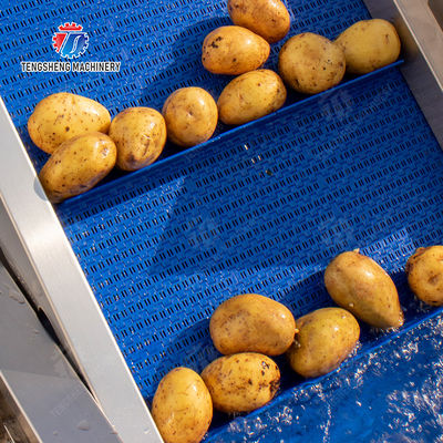 Pre-foaming elevator processing production Destoning Supplying Inspecting Grading Fruit Orange Vegetable Onions horseshoe Ginger Potato Carrot radish Lettuce Baby Cabbage Chinese Cabbage Cabbage