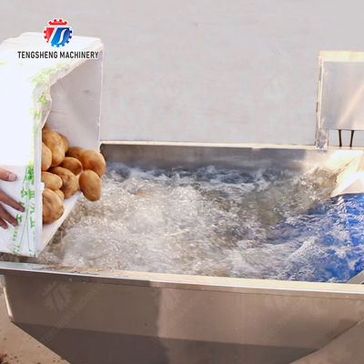 Pre-foaming elevator processing production Destoning Supplying Inspecting Grading Fruit Orange Vegetable Onions horseshoe Ginger Potato Carrot radish Lettuce Baby Cabbage Chinese Cabbage Cabbage