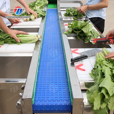 lemon cherry Passion Fruit Apple Potato Carrot radish Sweet potato okra Lettuce Chinese Cabbage Cabbage kiwi fruit orange chili Celery kale Selection Table