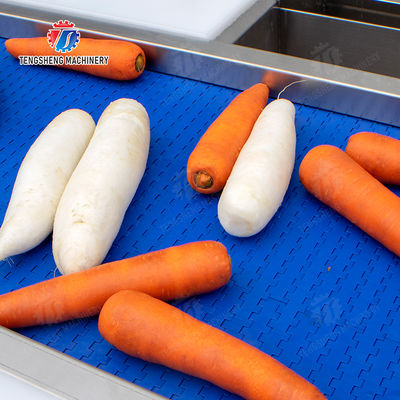 lemon cherry Passion Fruit Apple Potato Carrot radish Sweet potato okra Lettuce Chinese Cabbage Cabbage kiwi fruit orange chili Celery kale Selection Table