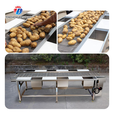 Potato Selection Table Ginger Carrot radish Celery kale lemon Saiko persimmon Fruit Orange Vegetable