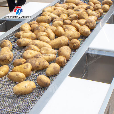 Potato Selection Table Ginger Carrot radish Celery kale lemon Saiko persimmon Fruit Orange Vegetable