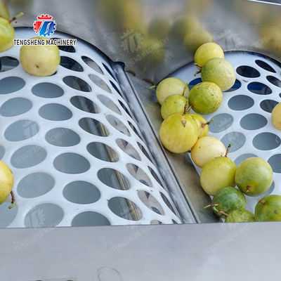 Apple Passion Fruit and vegetable sorting machine tangerine passion fruit avocado cherry Mango pear banana mangosteen kiwi fruit Fruit Orange Vegetable Lettuce Cabbage Celery kale Grading