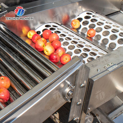 Apple Passion Fruit and vegetable sorting machine tangerine passion fruit avocado cherry Mango pear banana mangosteen kiwi fruit Fruit Orange Vegetable Lettuce Cabbage Celery kale Grading