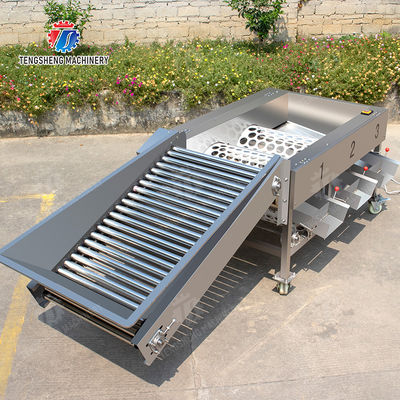 Apple Passion Fruit and vegetable sorting machine tangerine passion fruit avocado cherry Mango pear banana mangosteen kiwi fruit Fruit Orange Vegetable Lettuce Cabbage Celery kale Grading