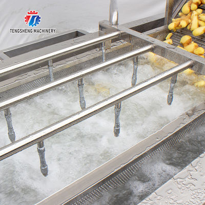240KG SUS 304 Vegetable And Fruit Washing Machine Orange Cleaning Machine