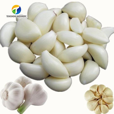 OEM Electric Garlic Processing Machine Skin Removing Equipment