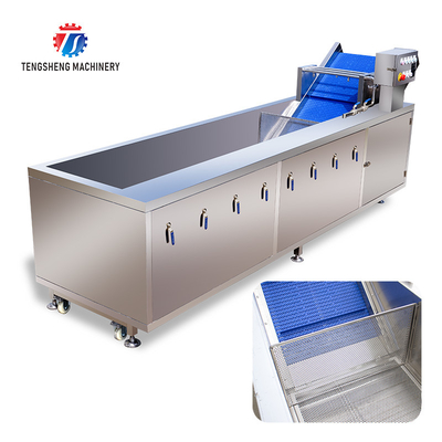 Tengsheng Multifunctional Bubble Cleaning Machine Scum Removal Vegetable Fruit ginger