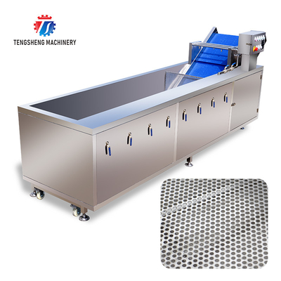 Tengsheng Multifunctional Bubble Cleaning Machine Scum Removal Vegetable Fruit ginger
