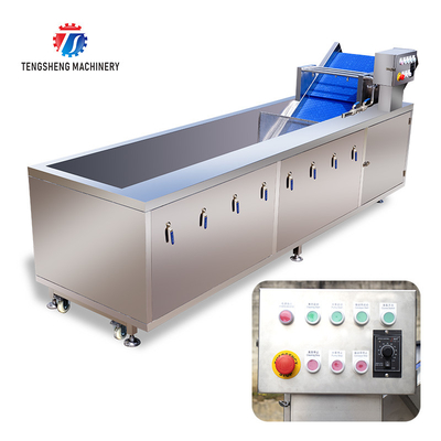 Tengsheng Multifunctional Bubble Cleaning Machine Scum Removal Vegetable Fruit ginger