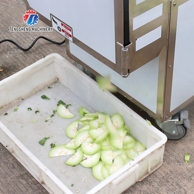 180KG Multifunctional vegetable cutting machine commercial leaf vegetable root slicing and sectioning machine