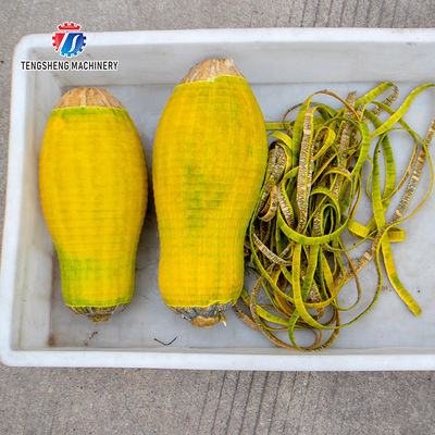 1.0KW 90KG Small automatic melon and fruit peeler pineapple cantaloupe pineapple peeler commercial equipment