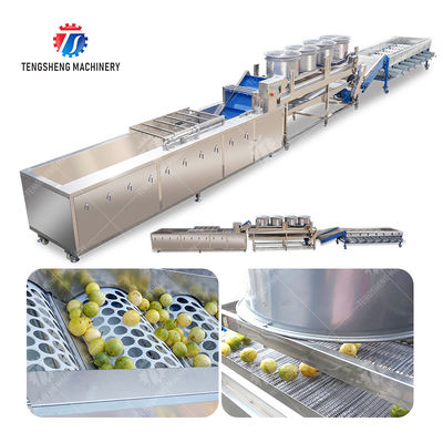 Passion Fruit Bubble Cleaning And Drying Sorting Production Line