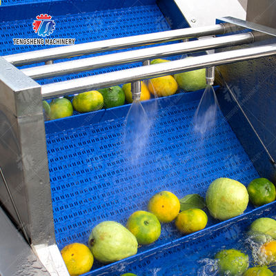 Fruits cleaning and drying production line Fruit Vegetable FOOD processing production Machine