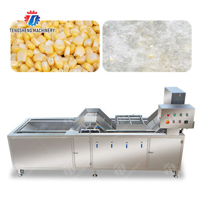 customized blanching machine Fruit Orange Vegetable Leaves Vegetables Carrots and longitudinal root vegetables Onions Leafy vegetables Cabbage varieties Herbs Fruiting vegetables Wash Washer Cleaning
